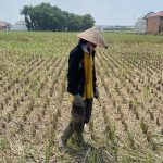 Dampak Musim Semi Terhadap Pertanian Dan Lingkungan