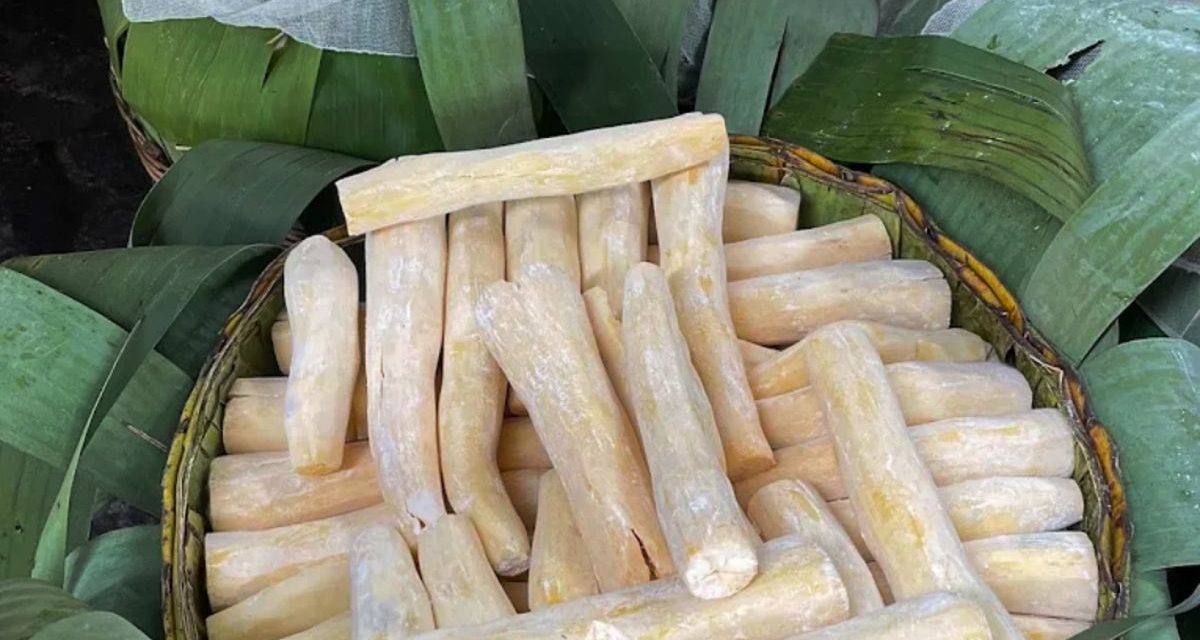 Sejarah Tape Di Indonesia: Warisan Kuliner Yang Tetap Digemari