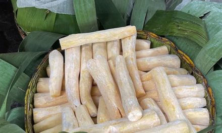 Sejarah Tape Di Indonesia: Warisan Kuliner Yang Tetap Digemari