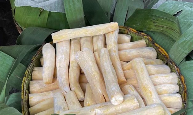 Sejarah Tape Di Indonesia: Warisan Kuliner Yang Tetap Digemari
