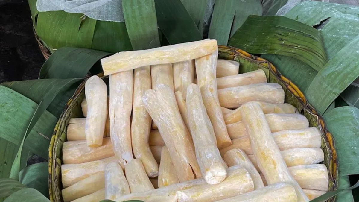 Sejarah Tape Di Indonesia: Warisan Kuliner Yang Tetap Digemari