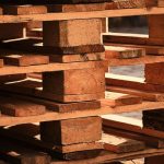 Jenis Kayu Di Indonesia Dan Kegunaannya Bagi Hunian