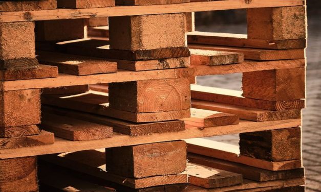 Jenis Kayu Di Indonesia Dan Kegunaannya Bagi Hunian