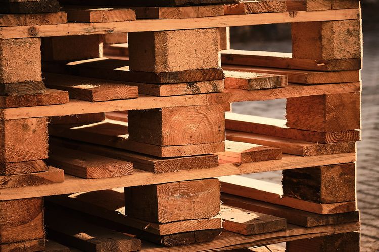 Jenis Kayu Di Indonesia Dan Kegunaannya Bagi Hunian