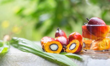 Manfaat Kelapa Sawit Bagi Perekonomian Dan Kehidupan Manusia