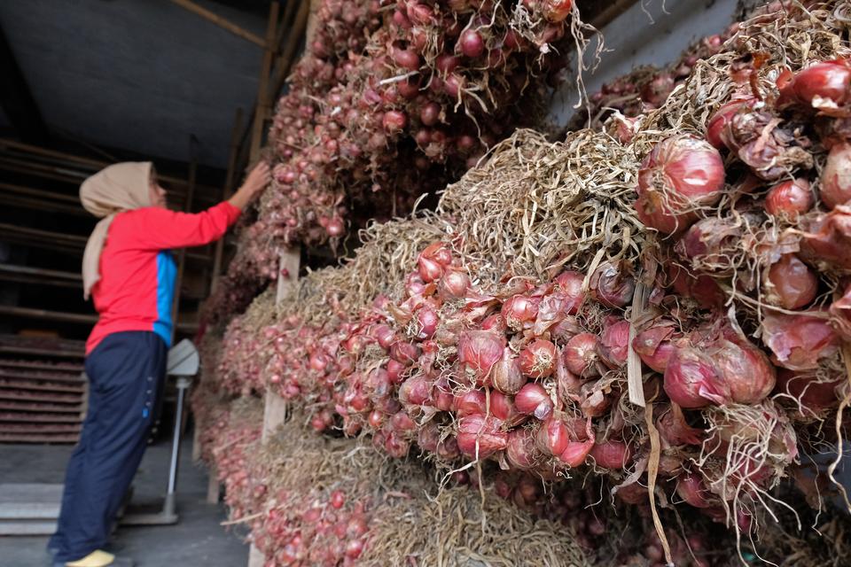 Harga Bawang Naik Turun Dampaknya Terhadap Pedagang Kecil