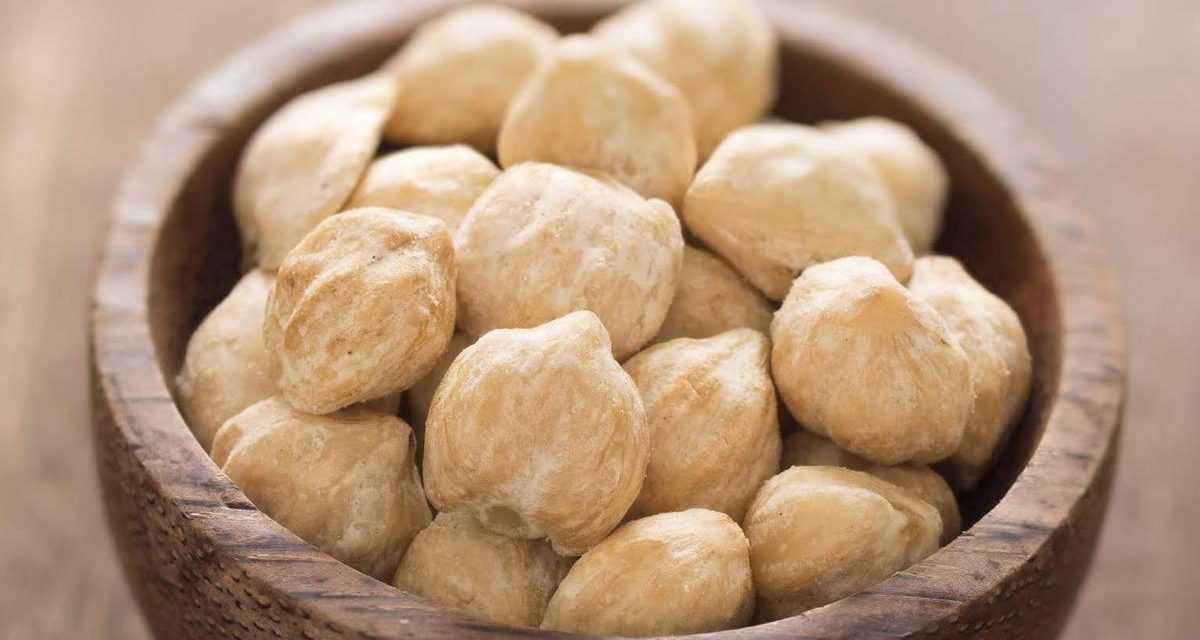 Peran Kemiri Dalam Kuliner Nusantara Dan Khasiatnya