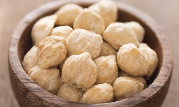 Peran Kemiri Dalam Kuliner Nusantara Dan Khasiatnya