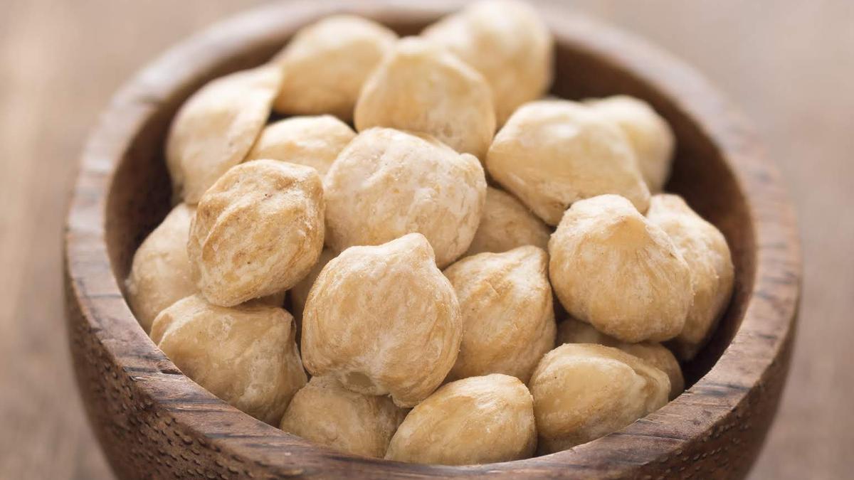 Peran Kemiri Dalam Kuliner Nusantara Dan Khasiatnya