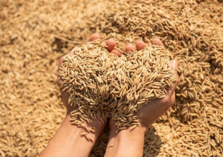 Perang Dan Krisis Pangan Konflik Dunia Mengubah Harga