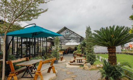 Tempat Nongkrong Favorit Anak Medan: Cafe Cozy Lagi Naik Daun