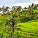 Pesona Alam Indonesia Membuat Turis Asing Selalu Ingin Kembali