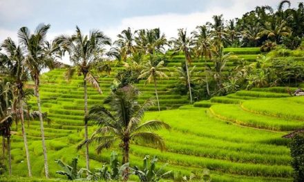 Pesona Alam Indonesia Membuat Turis Asing Selalu Ingin Kembali