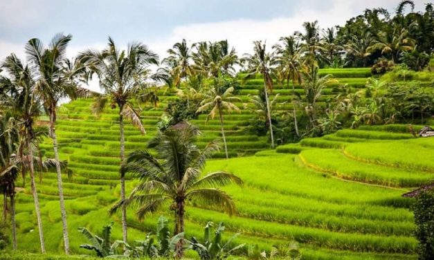 Pesona Alam Indonesia Membuat Turis Asing Selalu Ingin Kembali