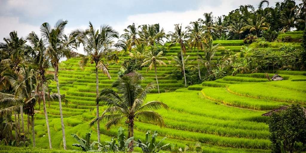 Pesona Alam Indonesia Membuat Turis Asing Selalu Ingin Kembali