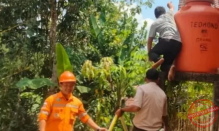 Strategi Menghadapi Pemadaman Listrik Di Musim Kemarau
