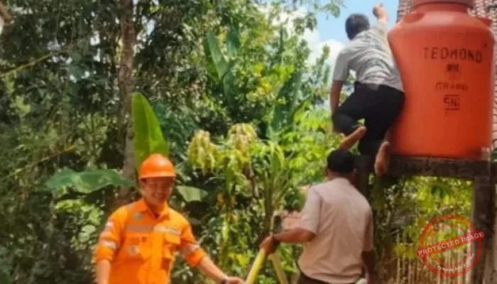 Strategi Menghadapi Pemadaman Listrik Di Musim Kemarau