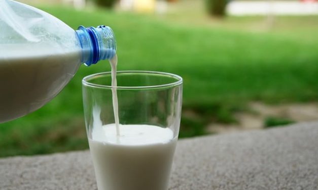 Susu Sapi Organik VS Non-Organik: Apa Bedanya?