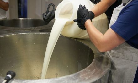 Pemurnian Susu Modern: Perbedaan Pasteurisasi Dan Sterilisasi