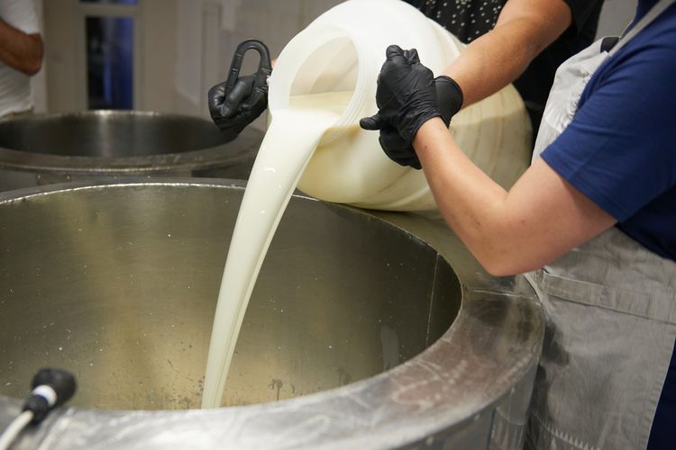 Pemurnian Susu Modern: Perbedaan Pasteurisasi Dan Sterilisasi