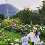Tomohon: Pesona Kota Bunga Di Sulawesi Utara Yang Menarik