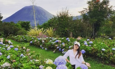 Tomohon: Pesona Kota Bunga Di Sulawesi Utara Yang Menarik