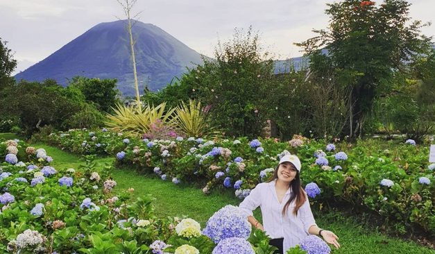 Tomohon: Pesona Kota Bunga Di Sulawesi Utara Yang Menarik