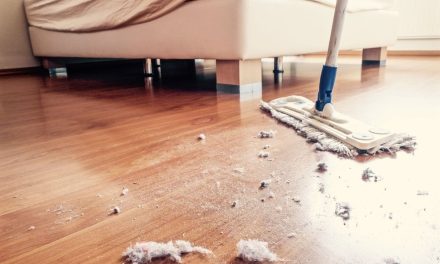 Debu Di Dalam Rumah: Sumber, Cara Mengurangi Penumpukan