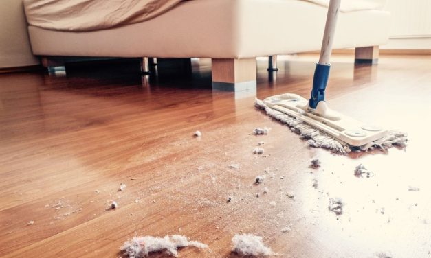 Debu Di Dalam Rumah: Sumber, Cara Mengurangi Penumpukan