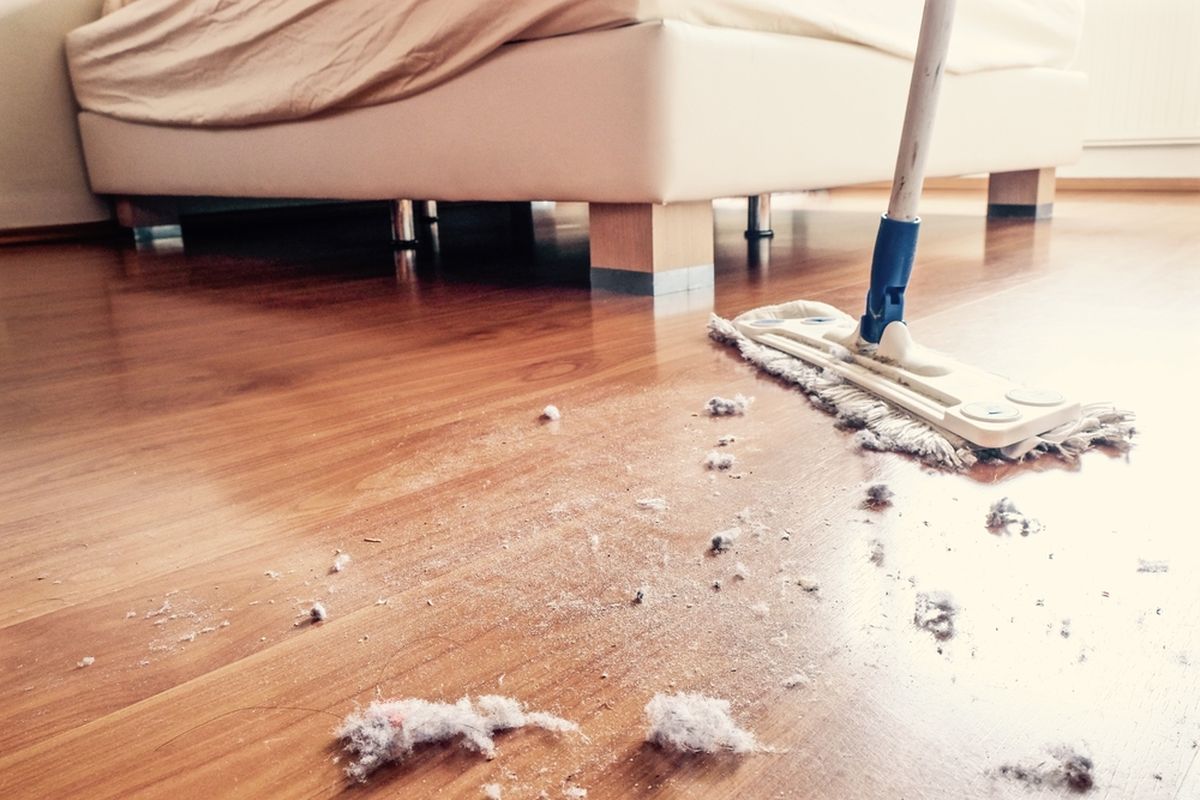 Debu Di Dalam Rumah: Sumber, Cara Mengurangi Penumpukan