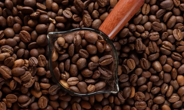 Kopi Indonesia: Mengenal Ragam Cita Rasa Dari Berbagai Daerah