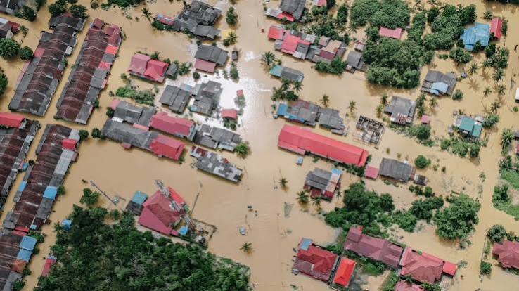 Perubahan Cuaca: Dampaknya terhadap Aktivitas Dan Kehidupan