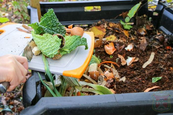 Sampah Organik: Memanfaatkan Sisa Makanan Menjadi Kompos
