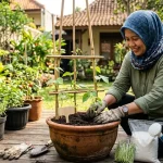 Tanaman Dari Biji: Tahapan Awal Untuk Memulai Kebun Di Rumah